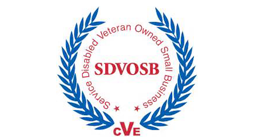 Veteran Owned Small Business